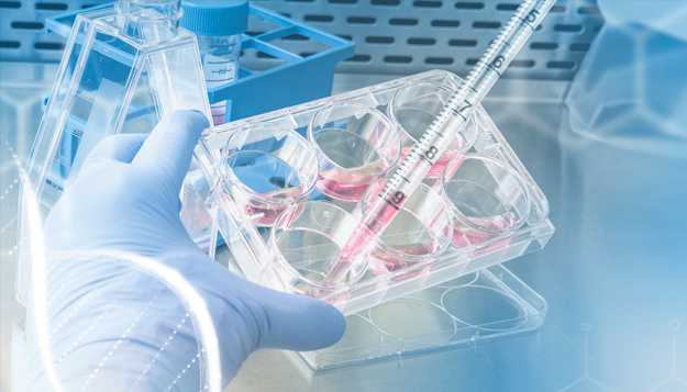 IBDC創新生物製造整合技術運用藥物研發聯盟專區